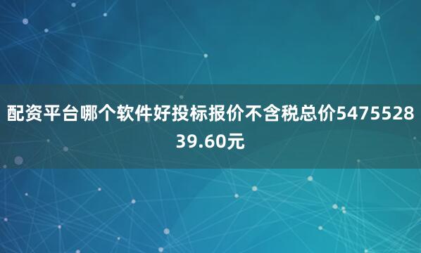 配资平台哪个软件好投标报价不含税总价547552839.60元