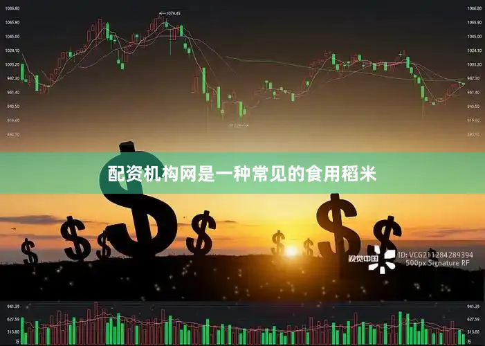 配资机构网是一种常见的食用稻米