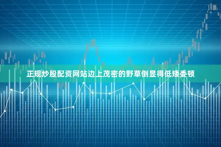 正规炒股配资网站边上茂密的野草倒显得低矮委顿