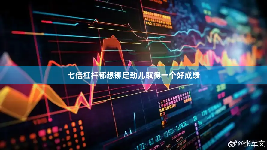 七倍杠杆都想铆足劲儿取得一个好成绩